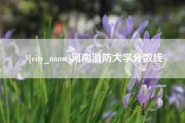公主岭河南消防大学分数线