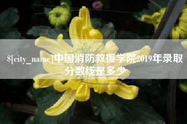 公主岭中国消防救援学院2019年录取分数线是多少