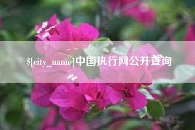 公主岭中国执行网公开查询