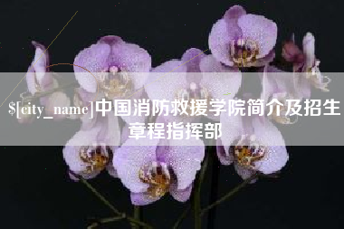 公主岭中国消防救援学院简介及招生章程指挥部