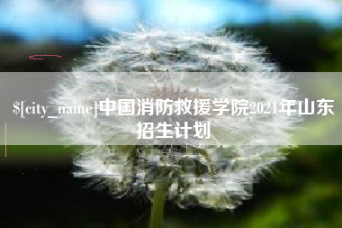 公主岭中国消防救援学院2021年山东招生计划