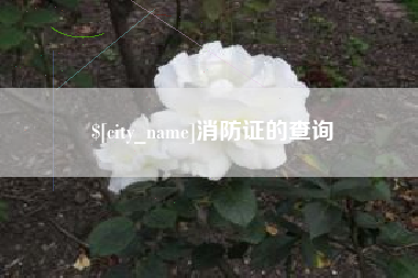 公主岭消防证的查询
