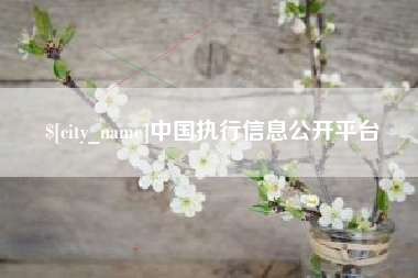 公主岭中国执行信息公开平台