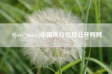 公主岭中国执行信息公开网网