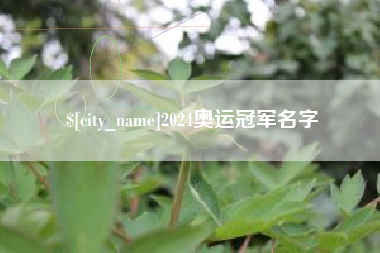 公主岭2024奥运冠军名字