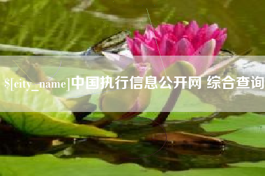公主岭中国执行信息公开网 综合查询