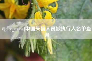 公主岭中国失信人员被执行人名单查询