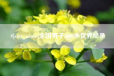 公主岭全国男子5000米世界纪录