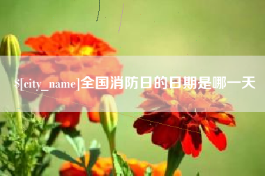 公主岭全国消防日的日期是哪一天