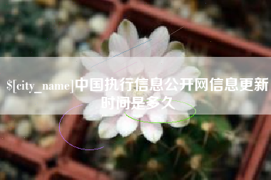 公主岭中国执行信息公开网信息更新时间是多久