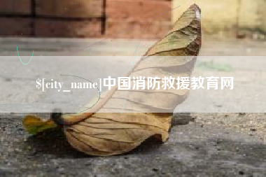 公主岭中国消防救援教育网