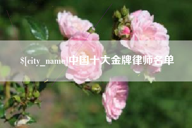 公主岭中国十大金牌律师名单