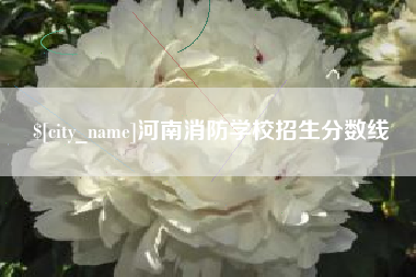 公主岭河南消防学校招生分数线