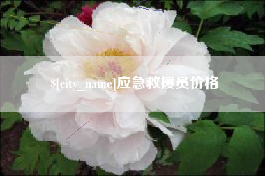 公主岭应急救援员价格