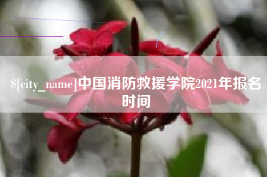 公主岭中国消防救援学院2021年报名时间