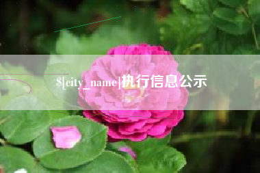 公主岭执行信息公示