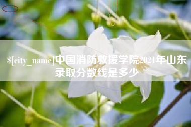 公主岭中国消防救援学院2021年山东录取分数线是多少