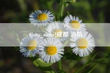 公主岭成都 消防