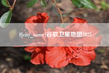 公主岭谷歌卫星地图2025 公主岭谷歌卫星地图2025