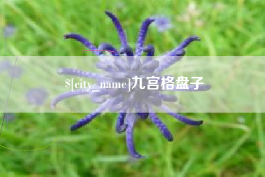 公主岭九宫格盘子