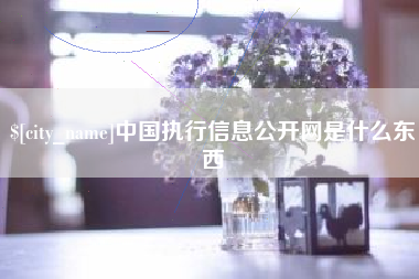 公主岭中国执行信息公开网是什么东西