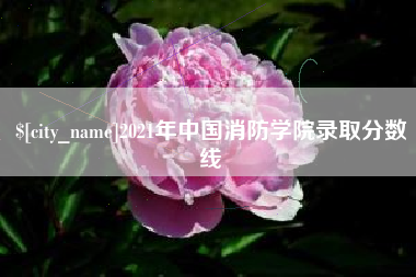 公主岭2021年中国消防学院录取分数线