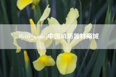 公主岭中国消防器材商城