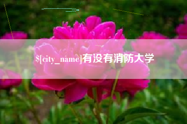 公主岭有没有消防大学