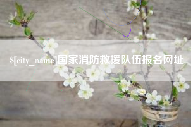 公主岭国家消防救援队伍报名网址