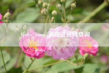 公主岭消控证官网查询