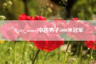 公主岭中国男子5000米冠军