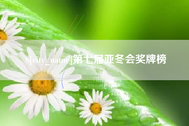 公主岭第七届亚冬会奖牌榜