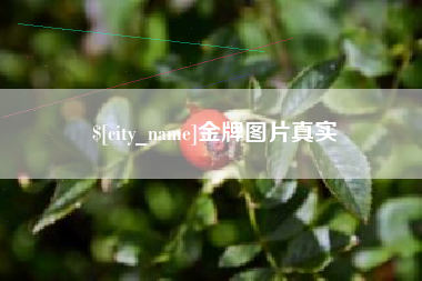 公主岭金牌图片真实