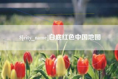 公主岭白底红色中国地图