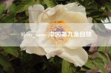 公主岭中国第九金回放