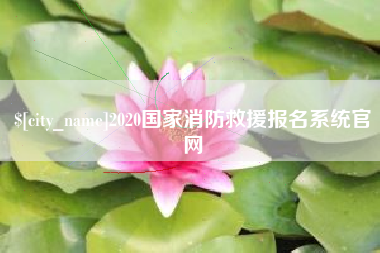 公主岭2020国家消防救援报名系统官网