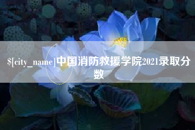 公主岭中国消防救援学院2021录取分数