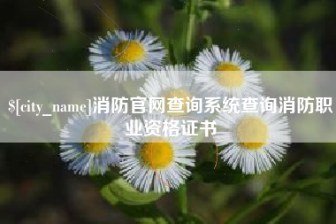 公主岭消防官网查询系统查询消防职业资格证书