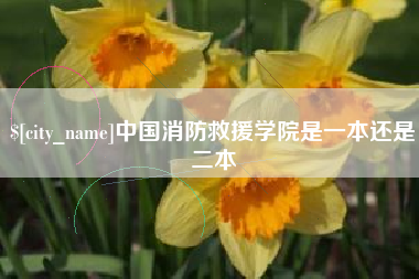 公主岭中国消防救援学院是一本还是二本