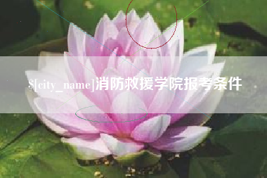 公主岭消防救援学院报考条件