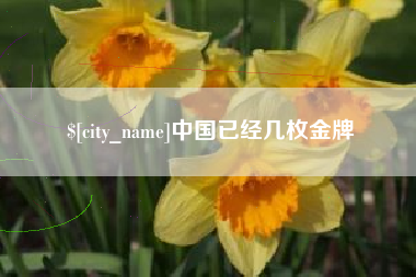 公主岭中国已经几枚金牌
