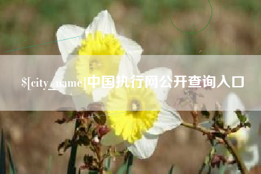 公主岭中国执行网公开查询入口