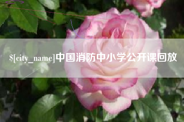 公主岭中国消防中小学公开课回放
