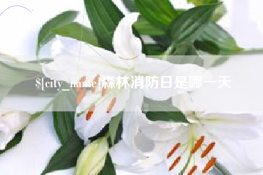 公主岭森林消防日是哪一天