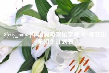 公主岭中国消防救援学院2020年在山东招生计划表