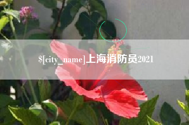 公主岭上海消防员2021