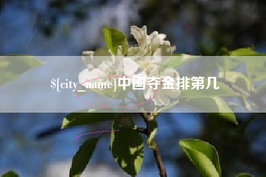 公主岭中国夺金排第几