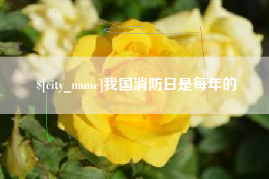公主岭我国消防日是每年的