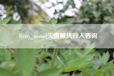 公主岭失信被执行人杳询
