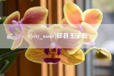 公主岭邱县王子磊